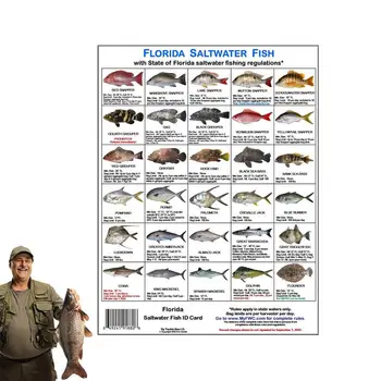 Идентификационная карточка морской рыбы Флориды Цветные фотографии Водные правила Флориды Идентификационная карточка морской рыбы Флориды для