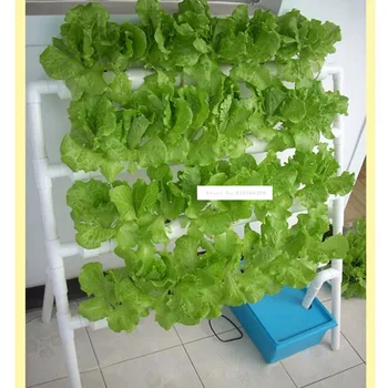 Оборудование для беспочвенного выращивания овощей на домашнем балконе с гидропонной посадочной стойкой Одностороннего лестничного типа 110 В/220 В 10 Вт